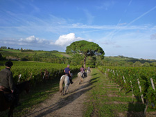 France-Champagne-Champagne Vineyards Ride